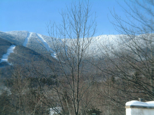 Sugartree Inn Warren Exterior photo